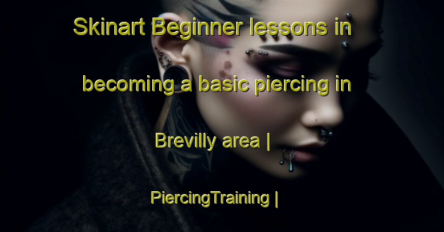 Skinart Beginner lessons in becoming a basic piercing in Brevilly area | PiercingTraining | PiercingClasses | SkinartTraining-France